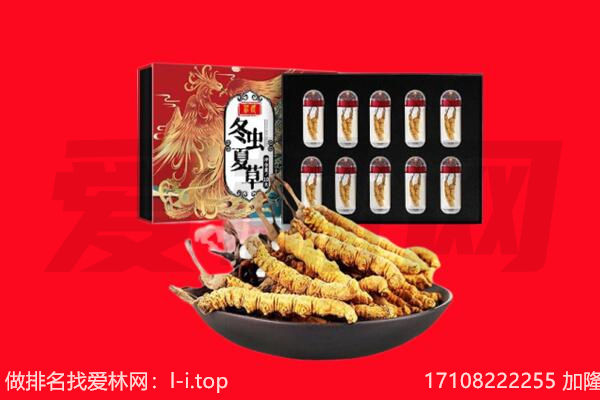 克东县回收虫草.jpg
